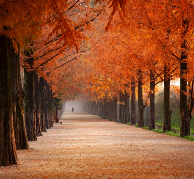 Gadgets para invierno, verano, otoño y primavera