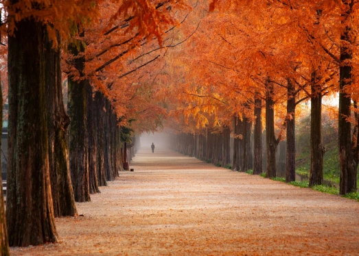 Gadgets de temporada